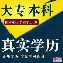 寶安松崗學上教育 高升專專升本專業選擇，一年高效助力學歷提升