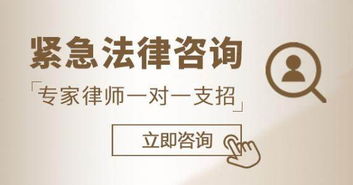 圖析普陀區長風新村街道公司資產管理 為何需要專業律師咨詢與上海法律支持